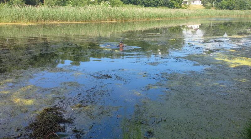 Дубровно, вода, водолазы