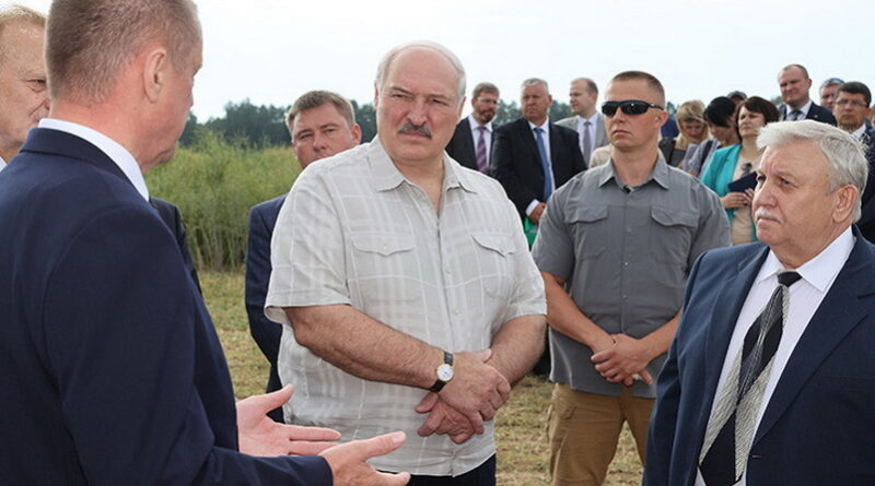 Президент, Дубровно, сельское хозяйство,
