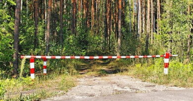Дубровно,запрет,лес,пожар
