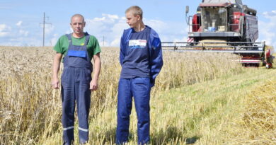 Дубровно, лидеры жатвы, доска почета