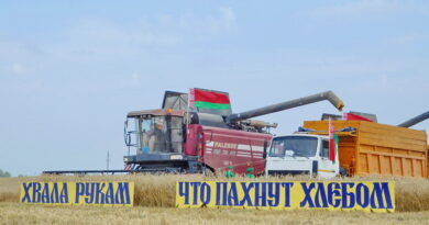 Дубровно, урожай, Витебск, зерно