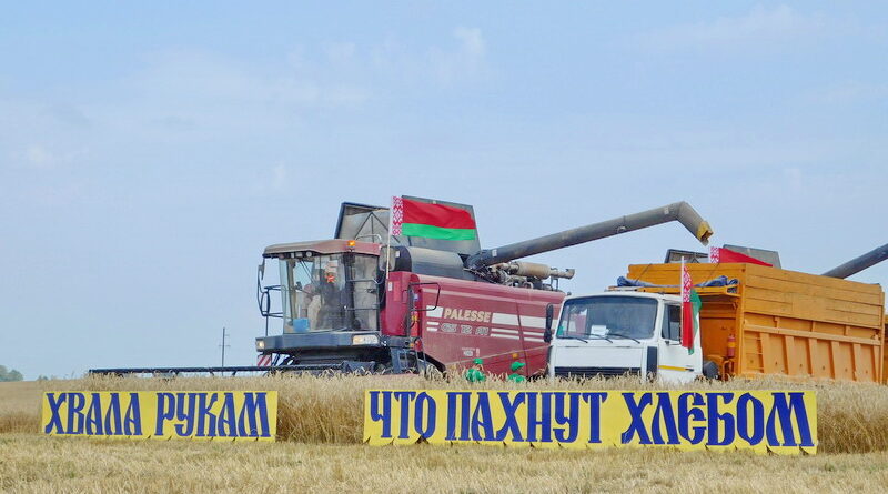 Дубровно, урожай, Витебск, зерно