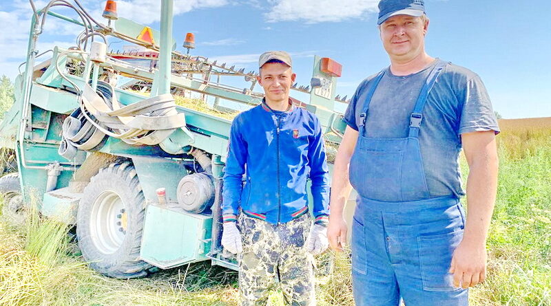 Дубровно,лен БГСХА