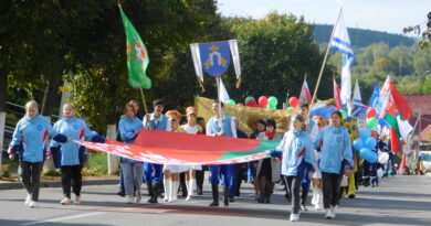 Дубровно, день народного единства, шествие