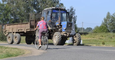Дубровно, безопасность,дорога