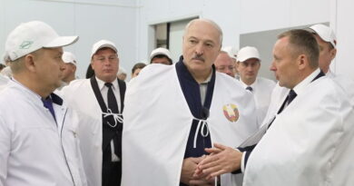 сельское хозяйство, модернизация