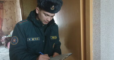 Безопасность, Дубровно, пожар