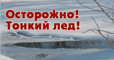 Дубровно,лед осовд