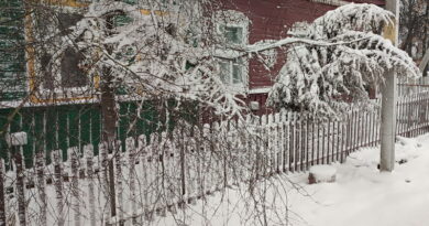 Дубровно, снег, цикло, ГАИ, авария