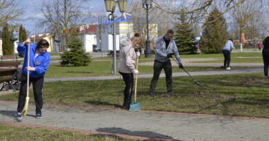 Дубровно, уборка, чистота