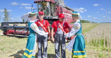 Дубровно,жатва,гомсельмаш