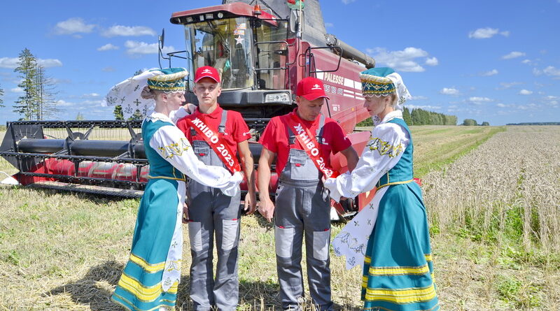Дубровно,жатва,гомсельмаш