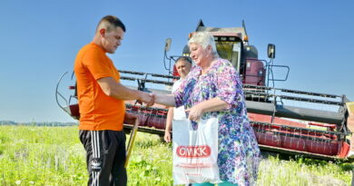 Дубровно, жатва, Саратокин