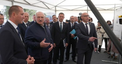 Дубровно, официально, агрогородки