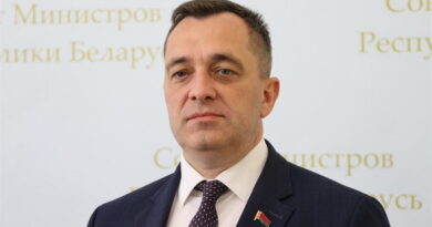 Субботин, безовасность
