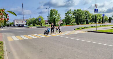 Дубровно, акция гаи, безопасность