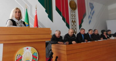 Дубровно,депутаты, комиссия