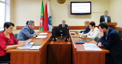 Дубровно,выборы