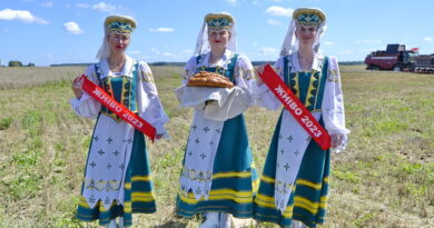 Дубровно, праздник, урожай