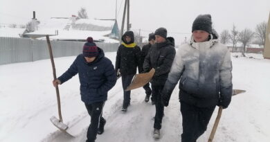 Дубровно, снег, инициатива