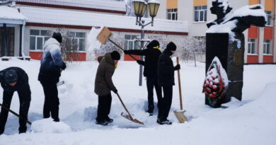 Дубровно, память, снег