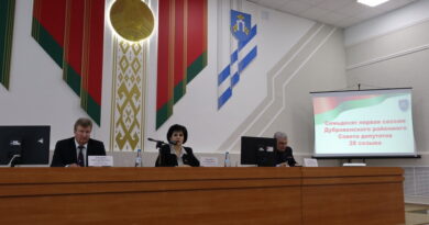 Дубровно, депутаты, планы