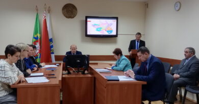 Дубровно,выборы, комиссия