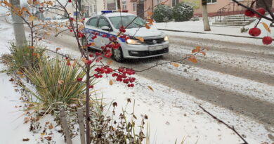 Дубровно, безопасность, дети
