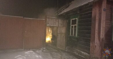 Дубровно, пожар, гибель