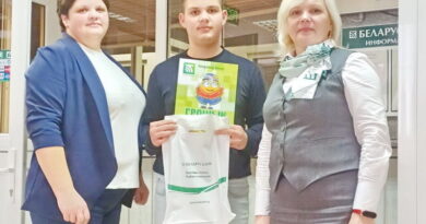 Дубровно. финансы, родители, контроль