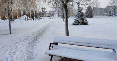 Дубровно, фото, природа, мороз