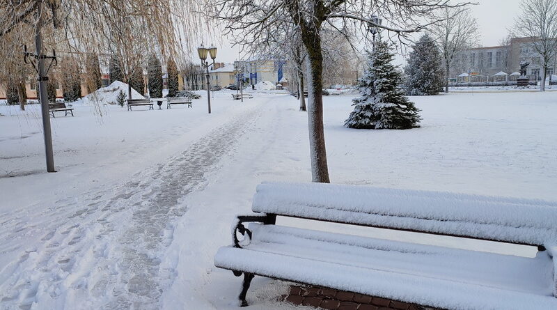 Дубровно, фото, природа, мороз