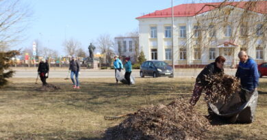 Дубровно, субботник, благоустройство, порядок