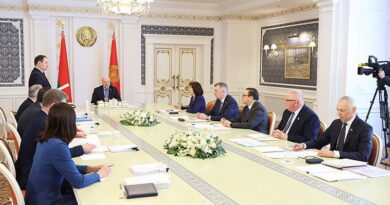 ВНС, Президент, важно