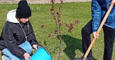 Дубровно,дети сад