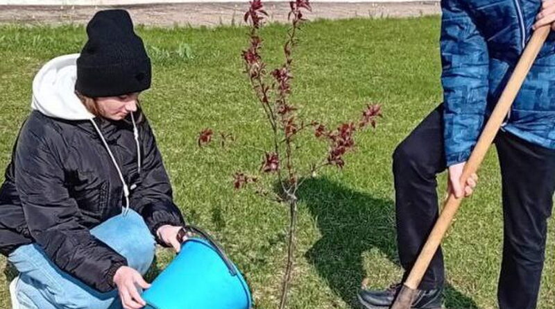 Дубровно,дети сад