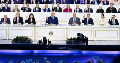 ВНС, Концепция безопасности
