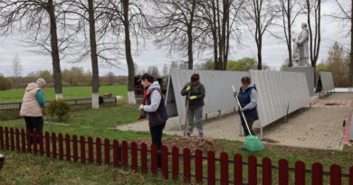 Дубровно, субботник, Петрыки