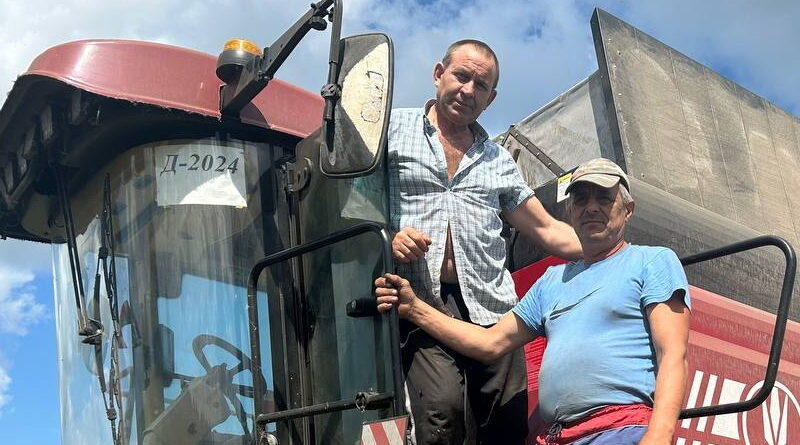 Дубровно,жатва,герой