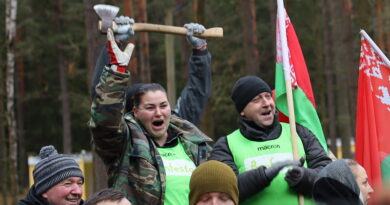 Дубровно,дрова,колка