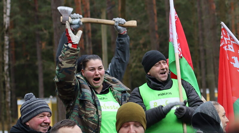 Дубровно,дрова,колка