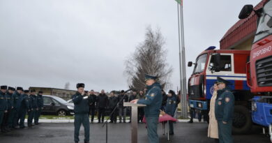 Дубровно,РОЧС, профессия,праздник