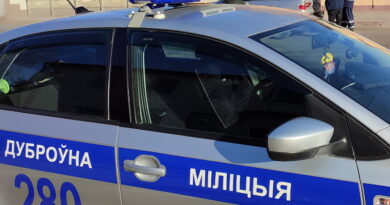 Дубровно,безопасность