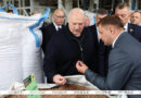 «Это наша перспектива». Лукашенко о производстве пеллет и использовании местных видов топлива