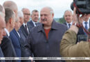 «Специалистов много, пока хромает организация». Лукашенко о кадровом эксперименте среди руководителей областей