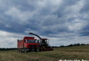 На контроле —  кормозаготовка