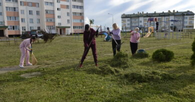 Дубровно,благоустройство, работа, семья, чистота