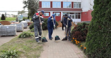Дубровно, субботник, благоустройство