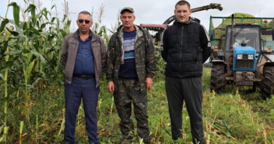 На Дубровенщине убирают кукурузу На Дубровенщине убирают кукурузу
