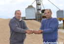 Трудовые победы братьев Плешковых